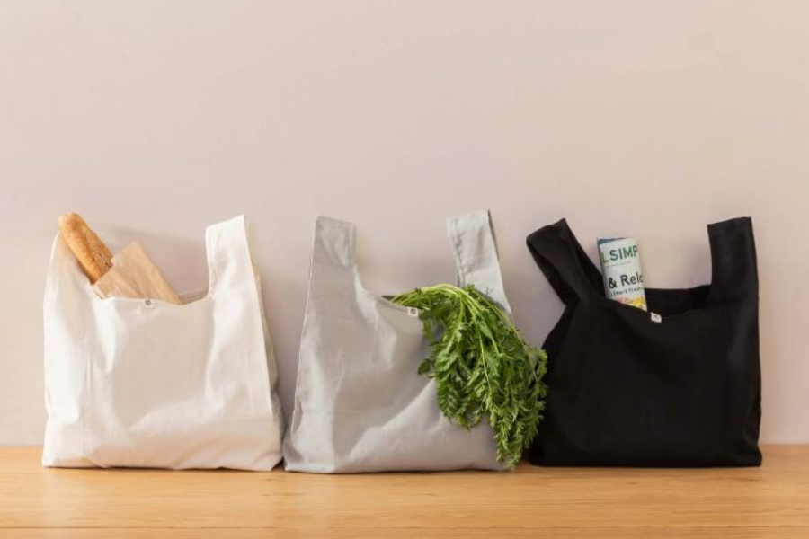 Plastic Bags vs Reusable Eco-Friendly Bags